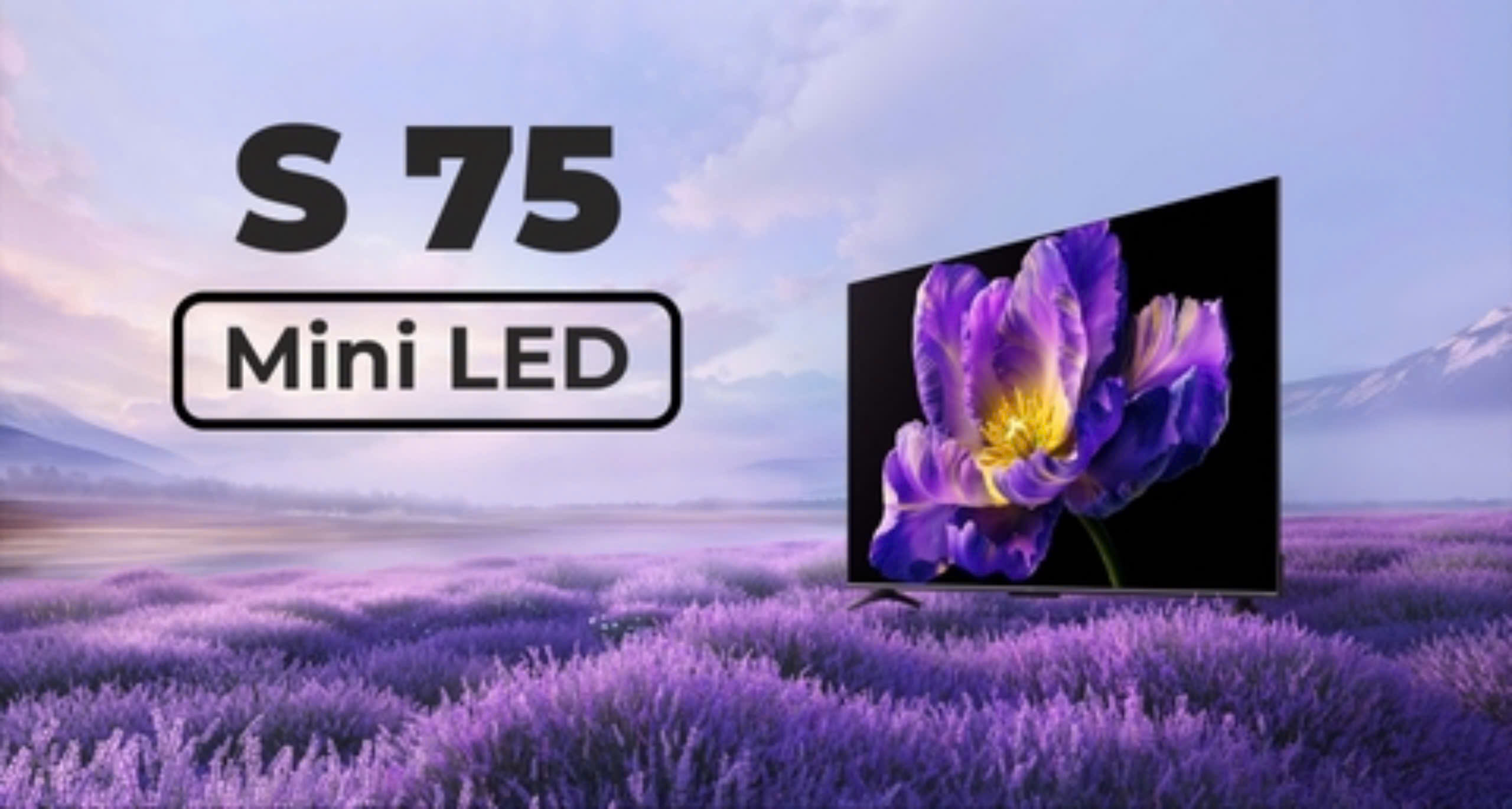 Tivi Xiaomi S55 Mini LED 55 inch ( L55MA - SPL )– Tần số 240Hz