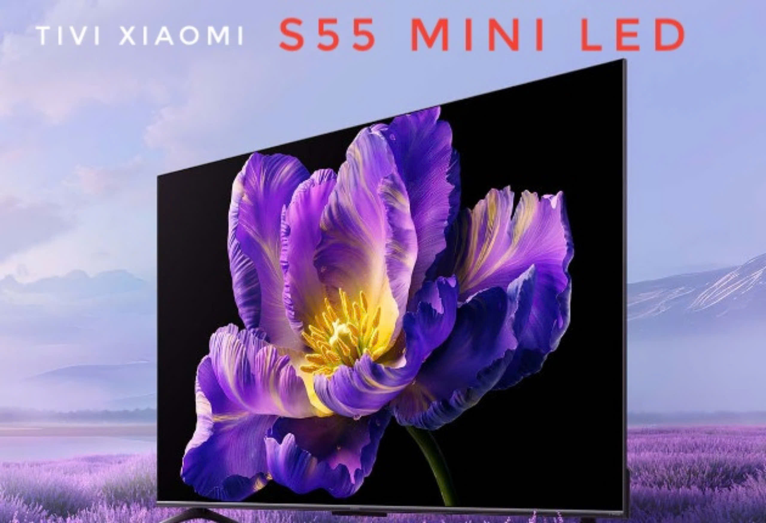 Tivi Xiaomi S55 Mini LED 55 inch ( L55MA - SPL )– Tần số 240Hz