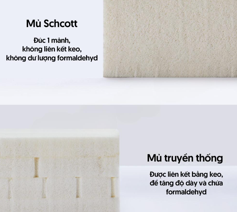 Đệm Cao Su Thiên Nhiên Schcott Xiaomi 8H – Tinh Hoa Thiên Nhiên, Thiết Kế Linh Hoạt Cho Mọi Giấc Ngủ