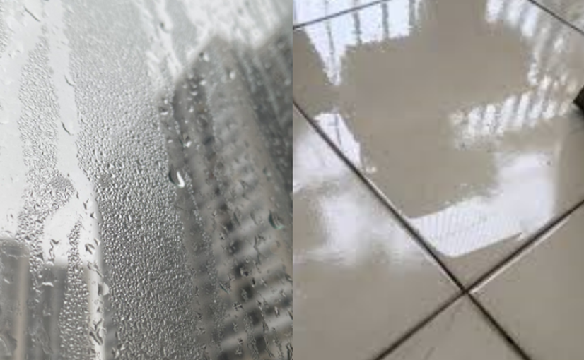 Máy Hút Ẩm Xiaomi – Giải Pháp Bảo Vệ Gia Đình Trong Mùa Nồm Ẩm