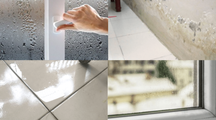 Tại Sao Máy Hút Ẩm Xiaomi Ngày Càng Được Ưa Chuộng?