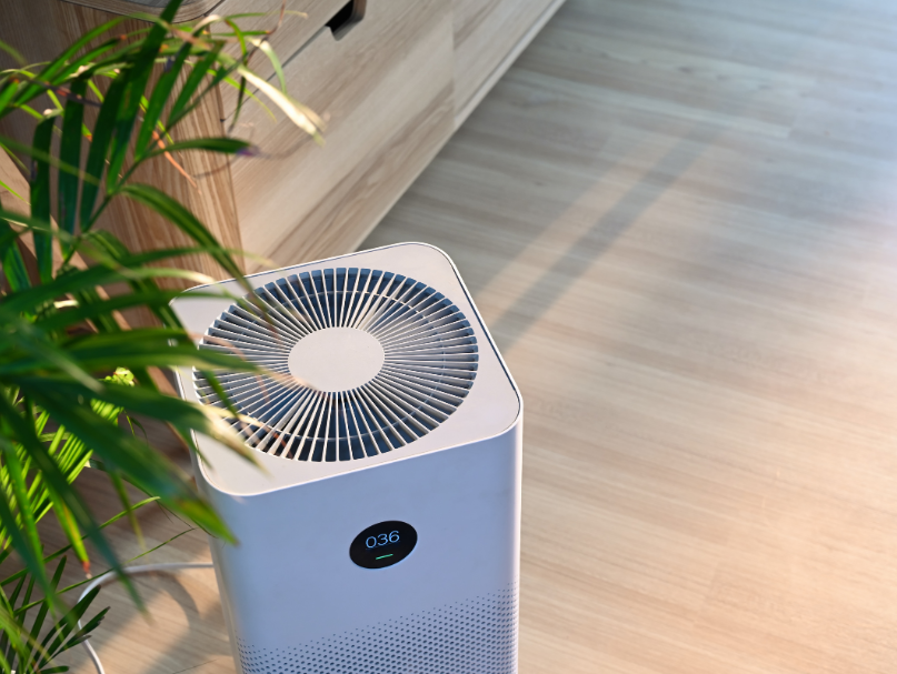 Báo Động Hà Nội: Thành Phố Ô Nhiễm Nhất Thế Giới! Giải Pháp Cấp Bách Nào Bảo Vệ Gia Đình Bạn?