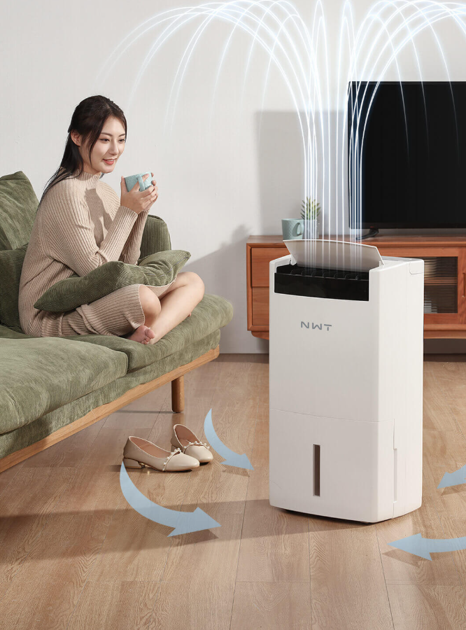 Giảm Ẩm, Giảm Mùi, Giảm Dị Ứng: Lợi Ích Thực Tế Khi Chọn Máy Hút Ẩm 2 Trong 1