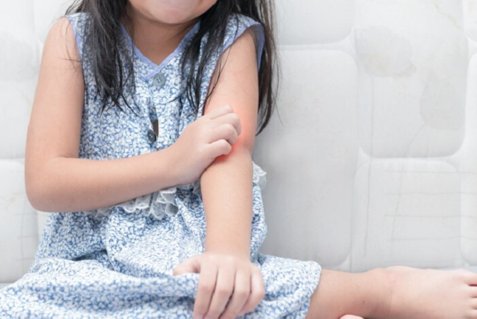 Giảm Ẩm, Giảm Mùi, Giảm Dị Ứng: Lợi Ích Thực Tế Khi Chọn Máy Hút Ẩm 2 Trong 1 