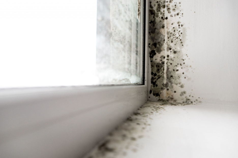 Giữ Nhà Khô Thoáng – Sống Khỏe Mỗi Ngày Với Máy Hút Ẩm Xiaomi