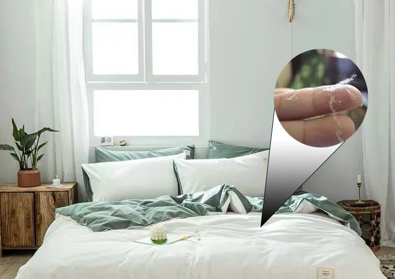 Lợi Ích Khi Trang Bị Máy Lọc Không Khí Cho Phòng Ngủ