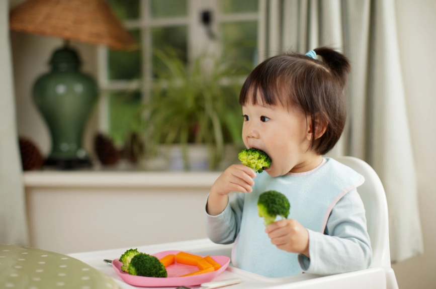 Review Chi Tiết Xiaomi Mijia 606L: Đỉnh Cao Công Nghệ Bảo Quản Thực Phẩm