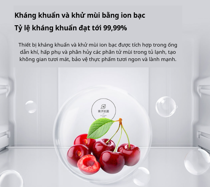 Review Chi Tiết Xiaomi Mijia 606L: Đỉnh Cao Công Nghệ Bảo Quản Thực Phẩm