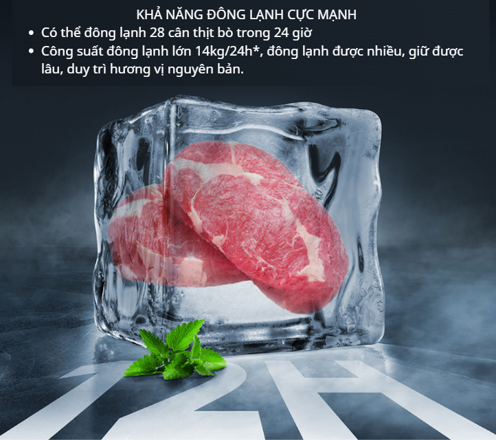 Review Chi Tiết Xiaomi Mijia 606L: Đỉnh Cao Công Nghệ Bảo Quản Thực Phẩm