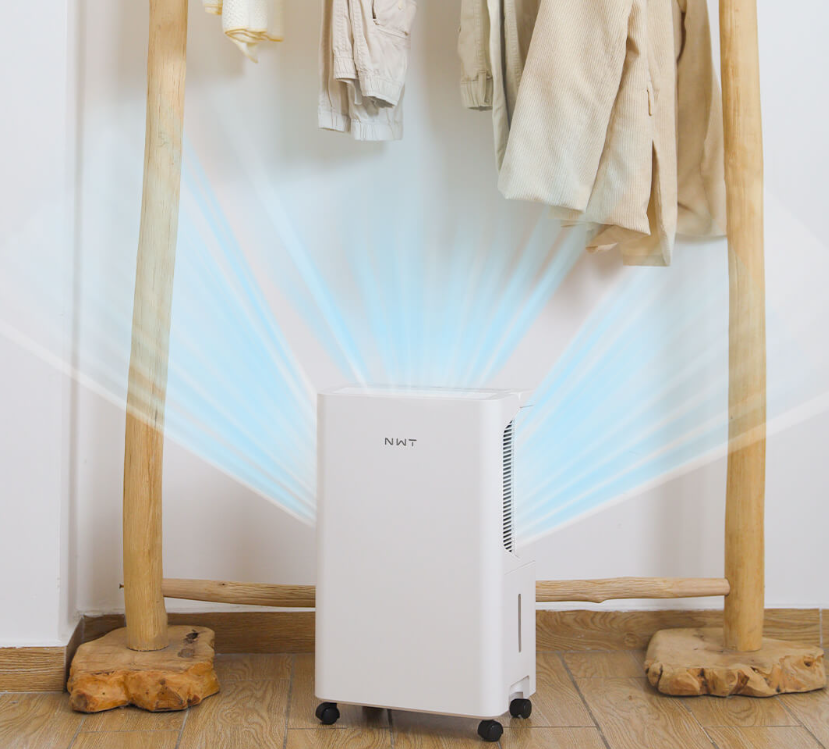 Tư Vấn Chọn Máy Hút Ẩm Xiaomi Cho Mùa Nồm Ẩm: Công Suất Bao Nhiêu Là Đủ?