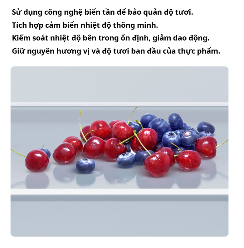 Gia Đình Đông Người Chọn Tủ Lạnh Ra Sao Để Không Bị Thiếu Chỗ? - Giải Pháp Là Xiaomi Mijia 520L