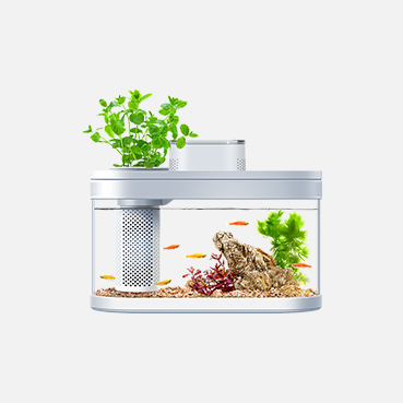 Bể cá thông minh Xiaomi Desgeo C180 Pro – Hệ sinh thái lưỡng cư, để bàn mini, kết nối app Mi home